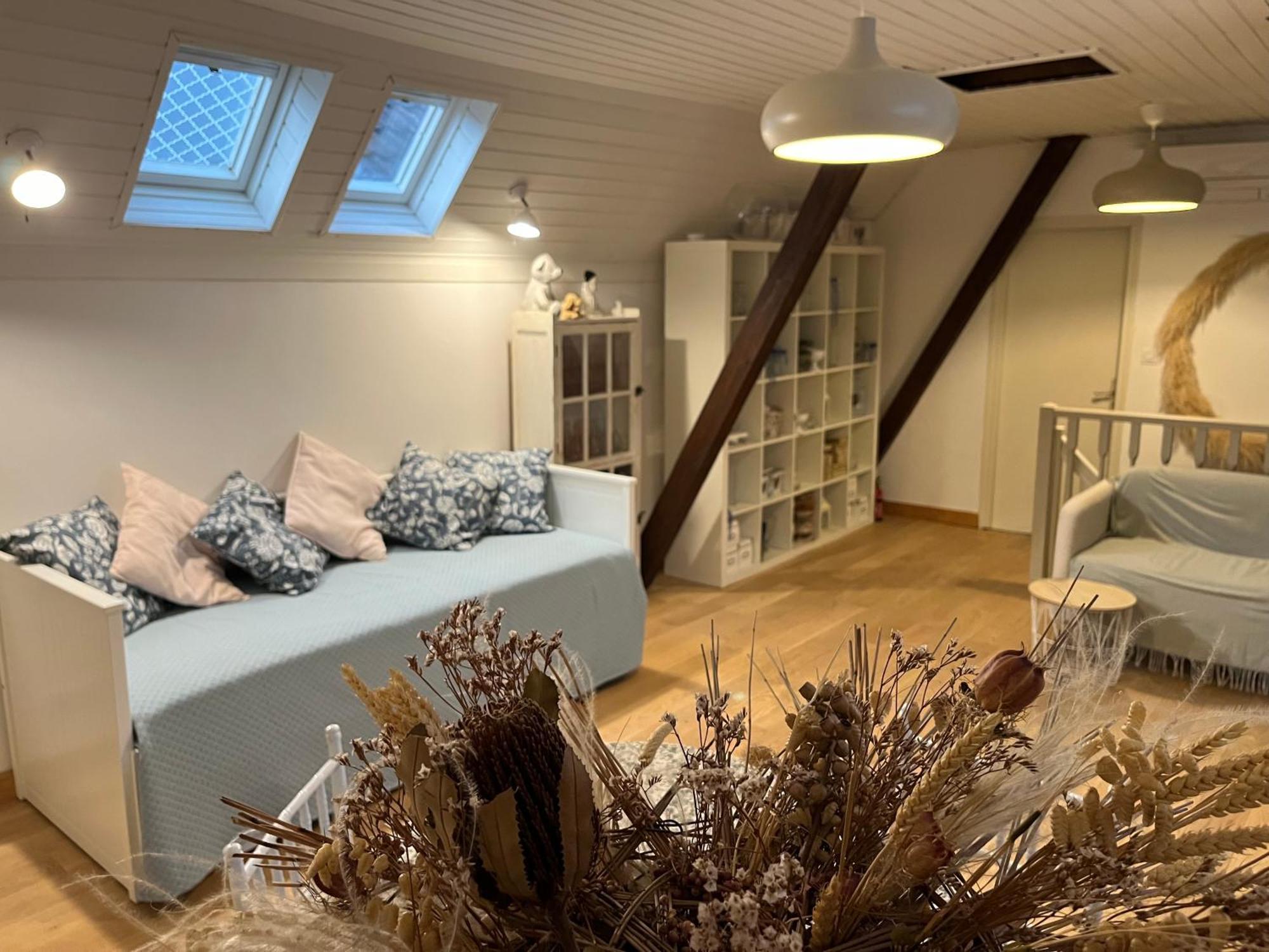 Etage Entier Prive, 45M2 Chez Regine Villa Schiltigheim Luaran gambar